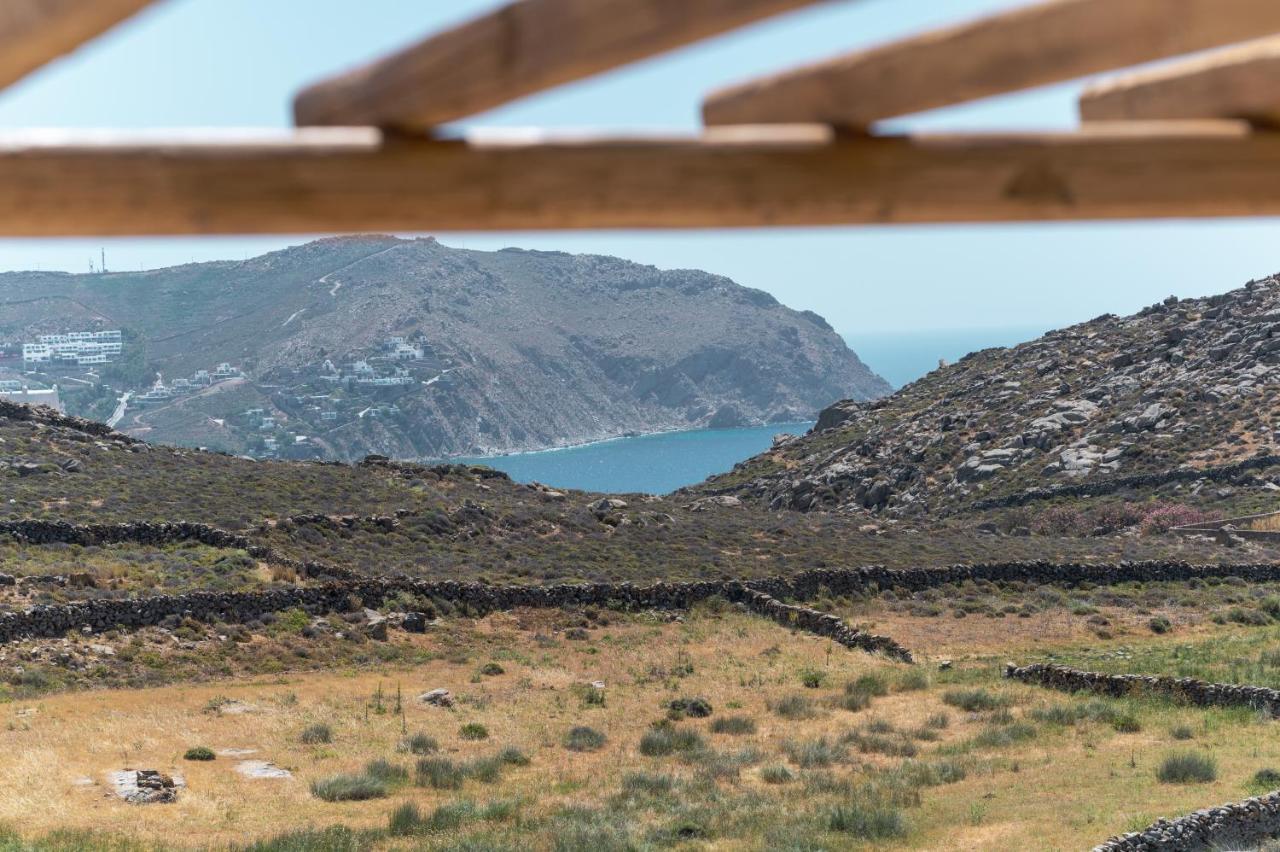 Anemela Villas & Suites Mykonos Agrari  Eksteriør billede